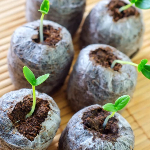 *FREE GIFT* ALL-IN-1 SEED STARTER KIT! - SeedsNow.com - *Free*