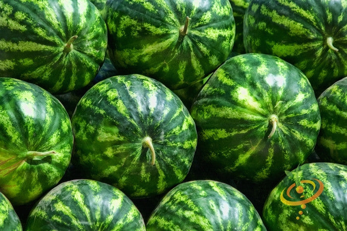 Fresh Crimson Sweet watermelon seeds from SeedsNow, shown in a clear image with vibrant green seed packet and seed details.
