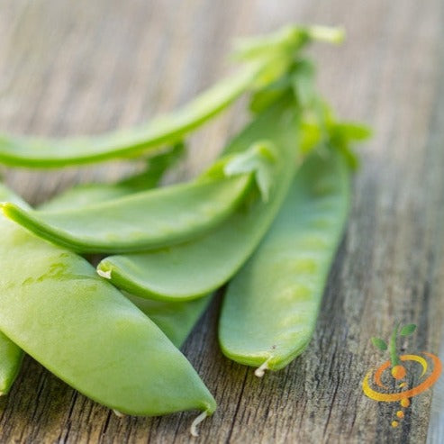 Close-up of fresh Oregon Sugar Pod peas on wooden surface