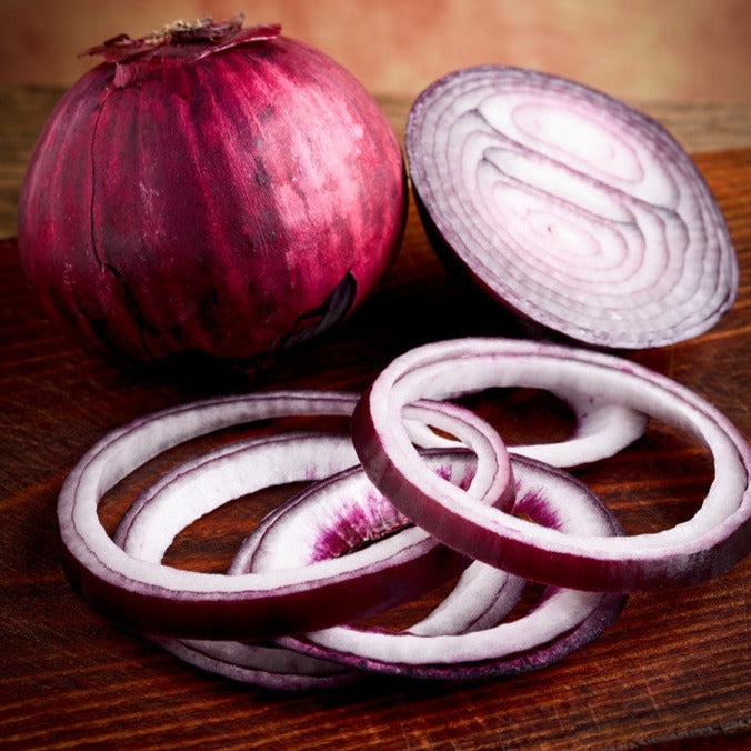 Buy Sweet Red Burgundy Short Day Onion Seeds online from the USA now. These onions produce 4" red bulbs with a mild, sweet flavor, maturing in 110-120 days.