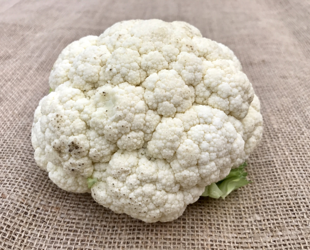 Cauliflower - Snowball - SeedsNow.com