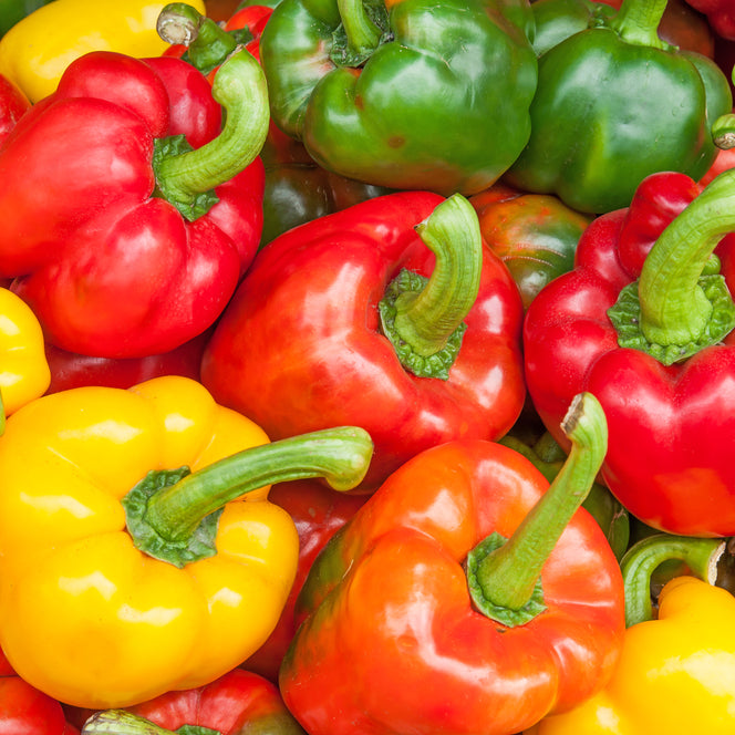 *New!* 50-in-One Complete Garden Abundance Collection (with Black Seed Storage Vault)