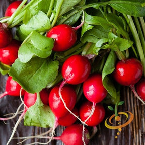 Bright red cherry radishes with green leaves from Champion seeds on a wooden surface
