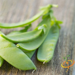 Close-up of fresh Oregon Sugar Pod peas on wooden surface