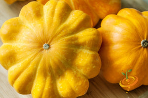 Squash (Summer) - Scallop, Golden Bush.