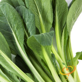 Fresh tendergreen mustard leaves close-up on white background